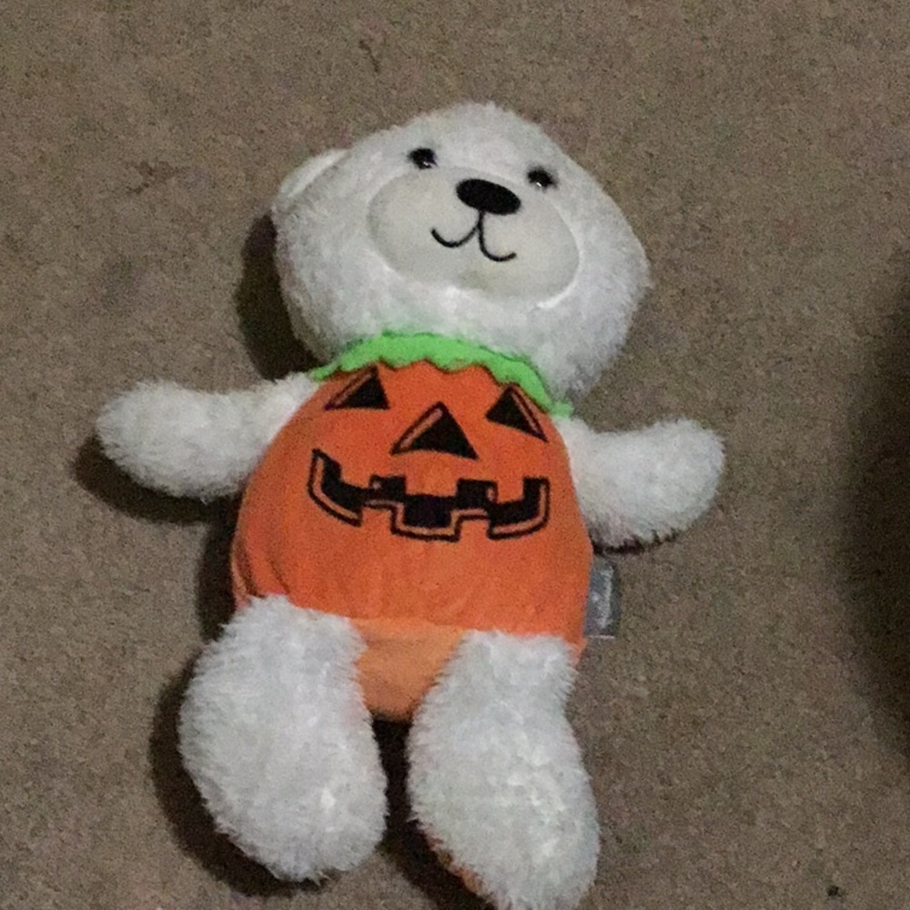 Teddy bear